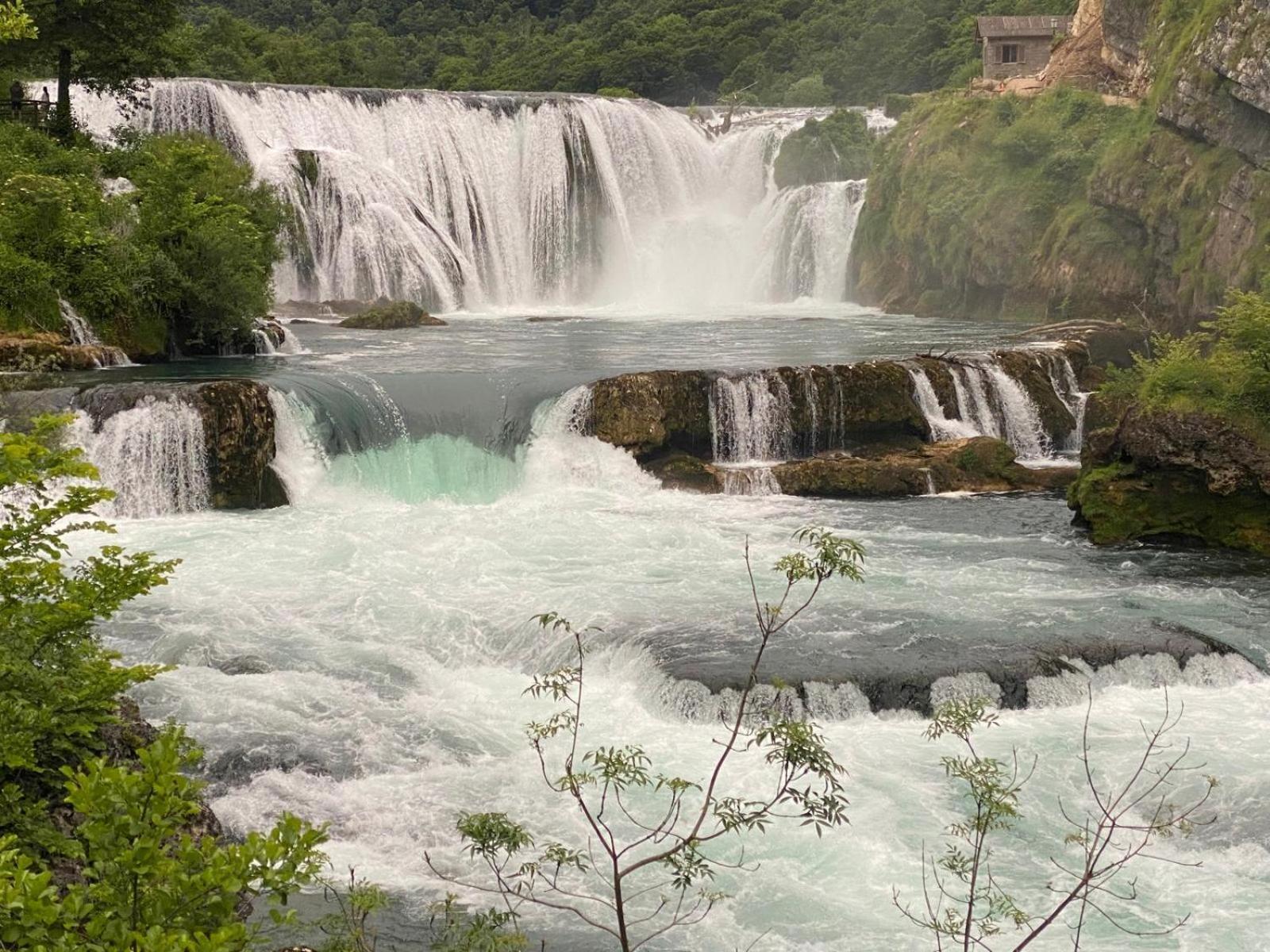 My Choice * Bihac